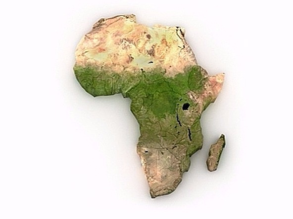 Africa crop